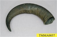 藏品(水牛的角)的圖片